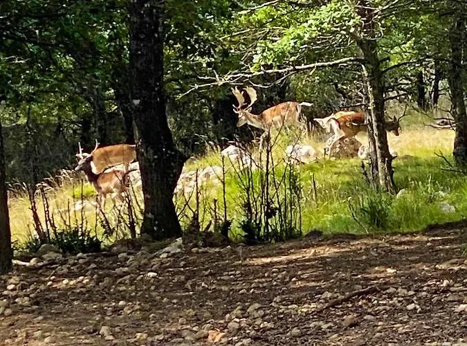 Maison Confortable Au Coeur De La Nature Pres De Σπίτι διακοπών Camps-sur-l'Agly